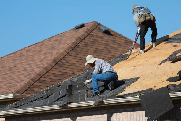 Best Roof Moss and Algae Removal  in Towanda, PA